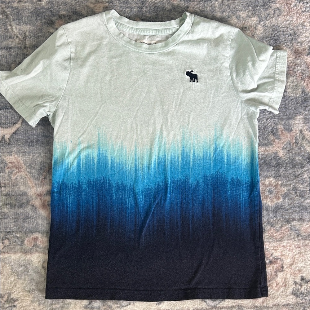 kids A&F Blue Ombre T-Shirt
